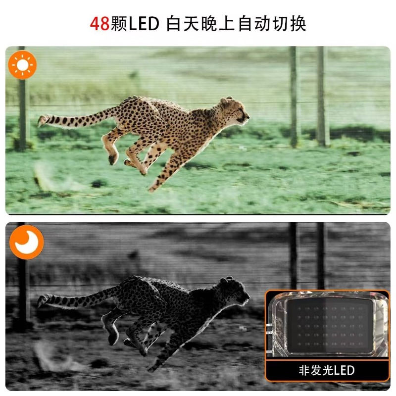 HOT SALE DL001 Jachtcamera Die - Outdoor Hunting Videos recensie en prijs