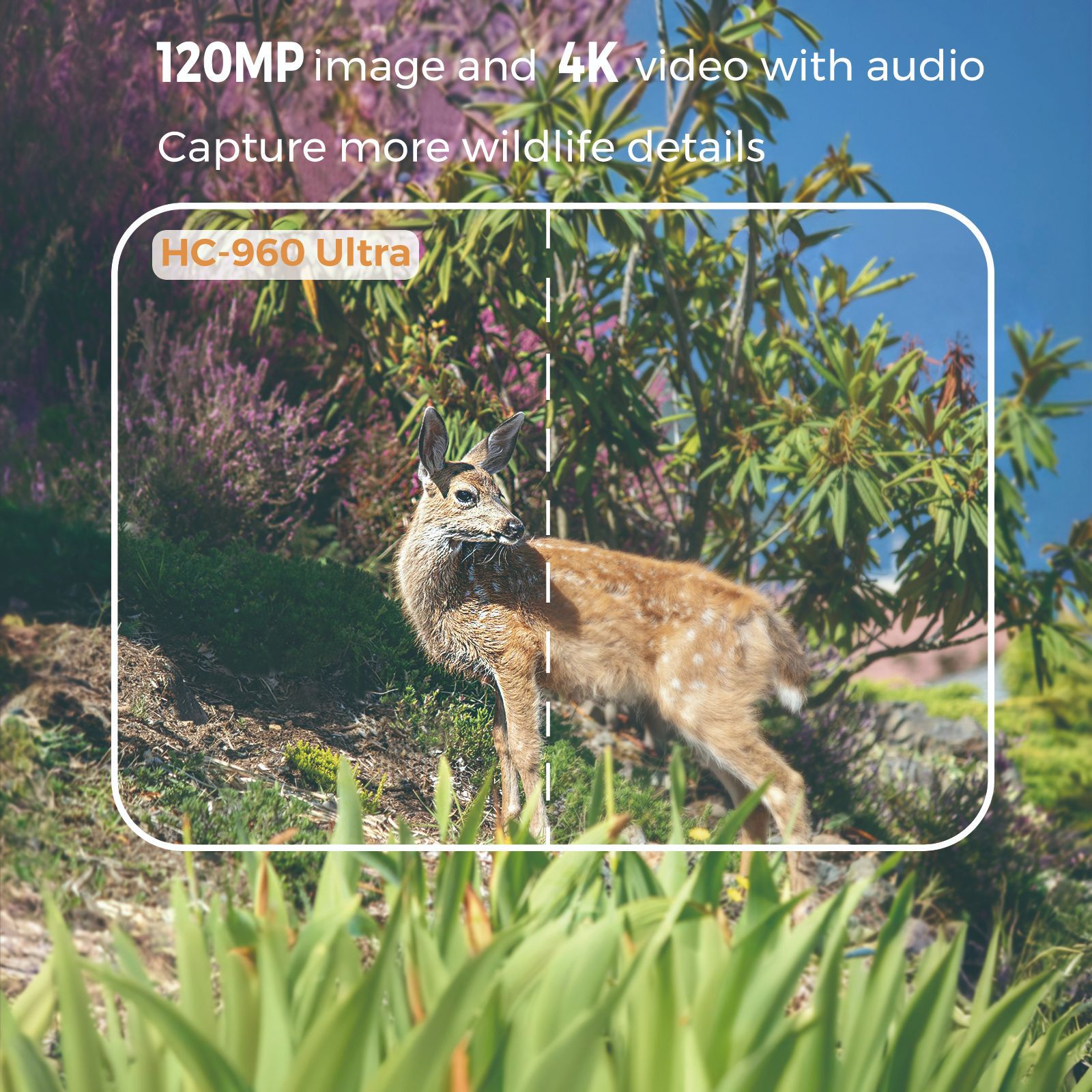 Outdoor 4K Video 120MP Foto 4G - Outdoor Hunting Videos recensie en prijs