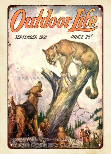 koop wall 1921 OUTDOOR LIFE ma - Hunting Dog Outdoor recensie en prijs