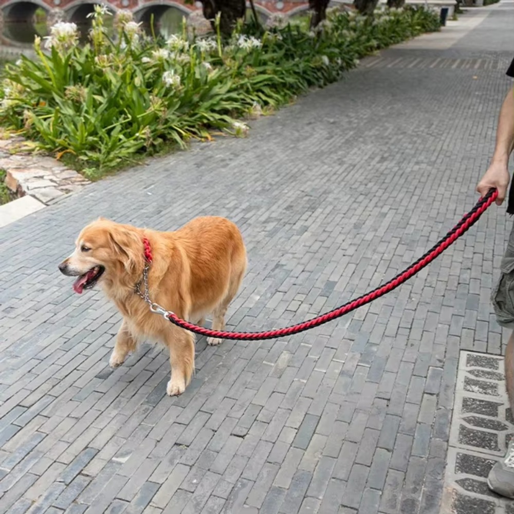 Sterke, grote hondenriem van d - Hunting Dog Outdoor recensie en prijs